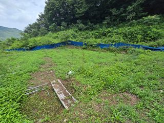 김윤중님의 작성글 사진