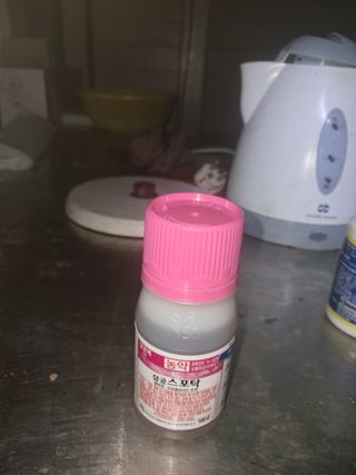 배종규님의 기타작물 · 영농일지 작성글 사진
