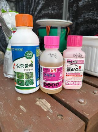 베리의정원님의 기타작물 · 영농일지 작성글 사진