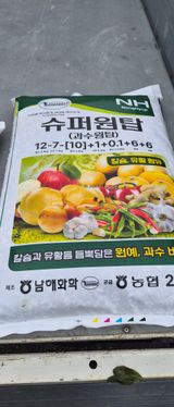 김동철(고추,사과)님의 작성글 사진