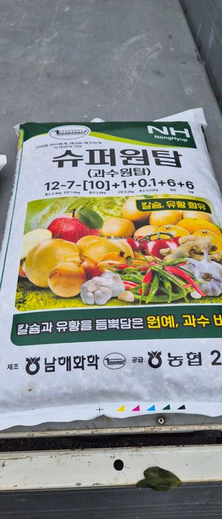 김동철(고추,사과)님의 사과 · 영농일지 작성글 사진