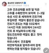 팜모닝 고추·영농일지 게시글 이미지