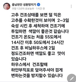 박용열조물주님 님의 고추 · 영농일지 작성글 사진