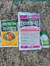 콩8503님의 작성글 사진
