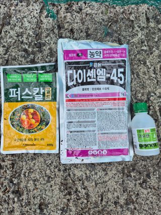 콩8503님의 귤 · 영농일지 작성글 사진
