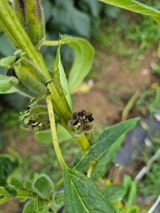 김석원님의 작성글 사진