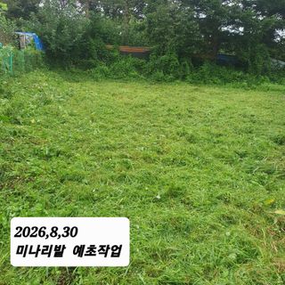 시민농장님의 기타작물 · 영농일지 작성글 사진