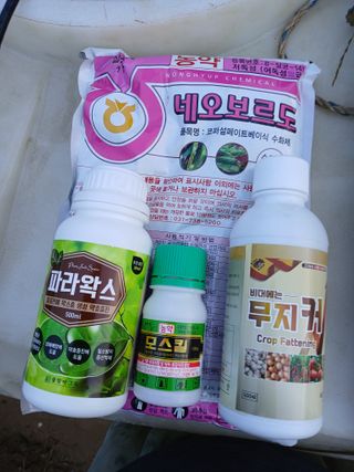 조성민님의 기타작물 · 영농일지 작성글 사진