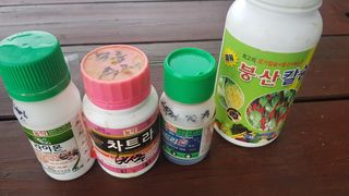 최춘득 청대산 님의 고추 · 영농일지 작성글 사진