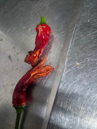 임곡농장김향중님의 기타작물 · 영농일지 작성글 사진