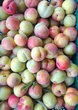 철남 김희곤님의 작성글 사진