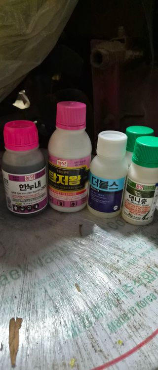 김동철(고추,사과)님의 고추 · 영농일지 작성글 사진