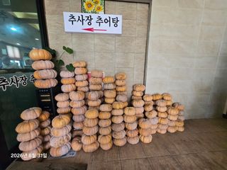 Captain김상곤님의 호박 · 영농일지 작성글 사진