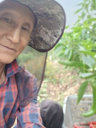 이상철님의 기타작물 · 영농일지 작성글 사진