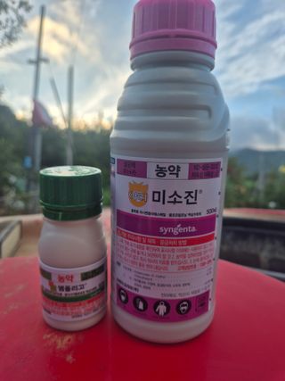 황창만님의 기타작물 · 영농일지 작성글 사진