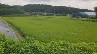 강윤원 보림팜(주)님의 기타작물 · 영농일지 작성글 사진