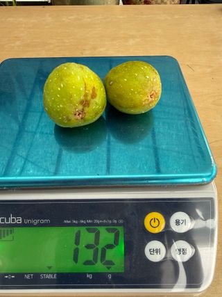 베리의정원님의 작성글 사진