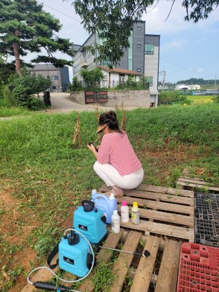 로만아빠님의 기타작물 · 영농일지 작성글 사진