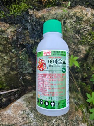 조정미님의 사과 · 영농일지 작성글 사진
