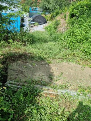 콩12574님의 기타작물 · 영농일지 작성글 사진