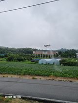 팜모닝 콩·영농일지 게시글 이미지