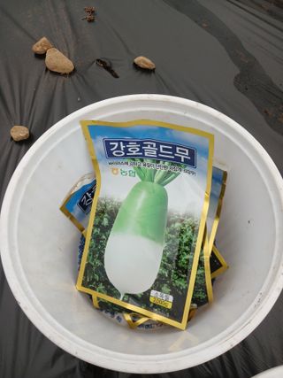 자기왕사랑해님의 기타작물 · 영농일지 작성글 사진