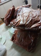 팜모닝 고추·영농일지 게시글 이미지