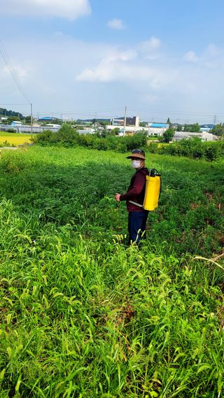 로만아빠님의 기타작물 · 영농일지 작성글 사진
