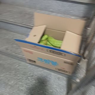 正覺님의 기타작물 · 영농일지 작성글 사진