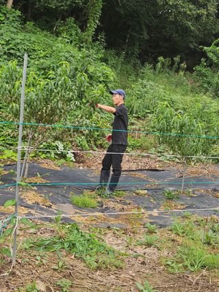 권상탁님의 작성글 사진