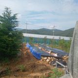 正覺님의 작성글 사진