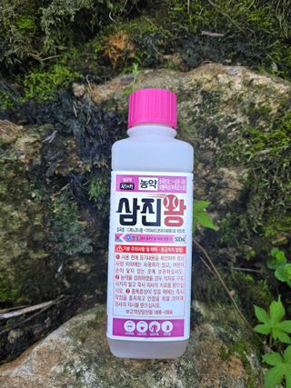 조정미님의 작성글 사진