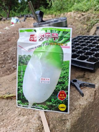 헤이쥬회원님의 배추 · 영농일지 작성글 사진