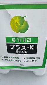 kkk님의 작성글 사진