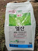 팜모닝 배추·영농일지 게시글 이미지