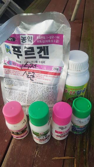 최춘득 청대산 님의 고추 · 영농일지 작성글 사진