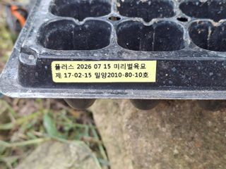 헤이쥬회원님의 배추 · 영농일지 작성글 사진