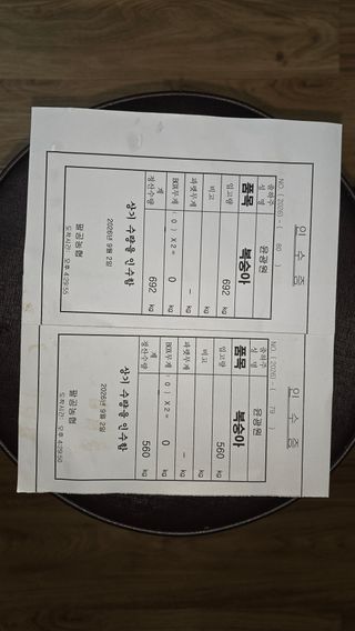 윤광원 님의 복숭아 · 영농일지 작성글 사진