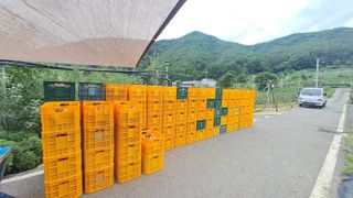 흑포님의 기타작물 · 영농일지 작성글 사진