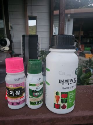 이명희님의 기타작물 · 영농일지 작성글 사진