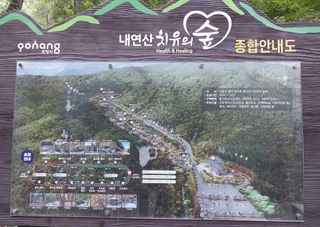 철남 김희곤님의 자두 · 영농일지 작성글 사진