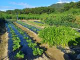 남궁봉님의 작성글 사진