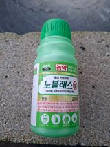 팜모닝 기타작물·영농일지 게시글 이미지