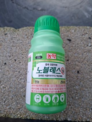오동추님의 기타작물 · 영농일지 작성글 사진