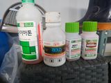 팜모닝 기타작물·영농일지 게시글 이미지