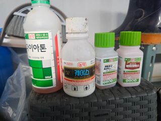 고영미님의 기타작물 · 영농일지 작성글 사진