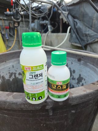 딱따구리님의 기타작물 · 영농일지 작성글 사진
