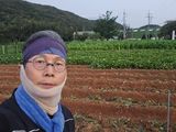 심기정님의 작성글 사진
