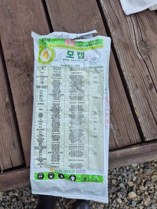 김영두님의 파 · 영농일지 작성글 사진
