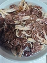 김영옥님의 작성글 사진